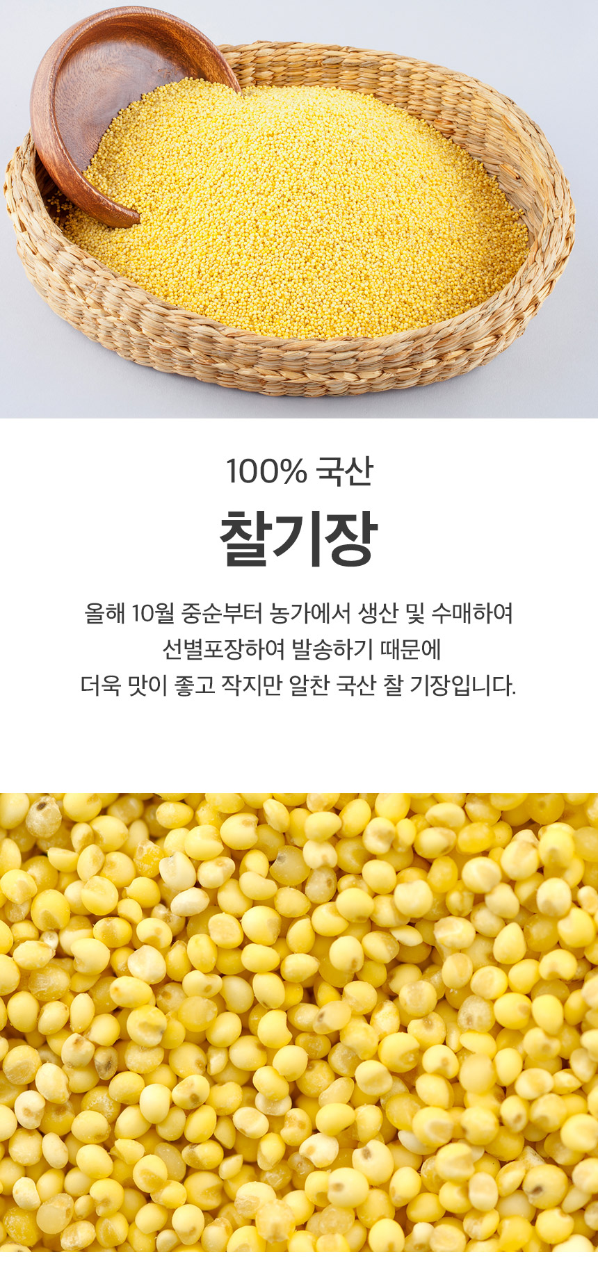 [NS]국내산 고창 5색 잡곡 골라담기/2개이상 구매시 찹쌀1kg추가 - NS홈쇼핑
