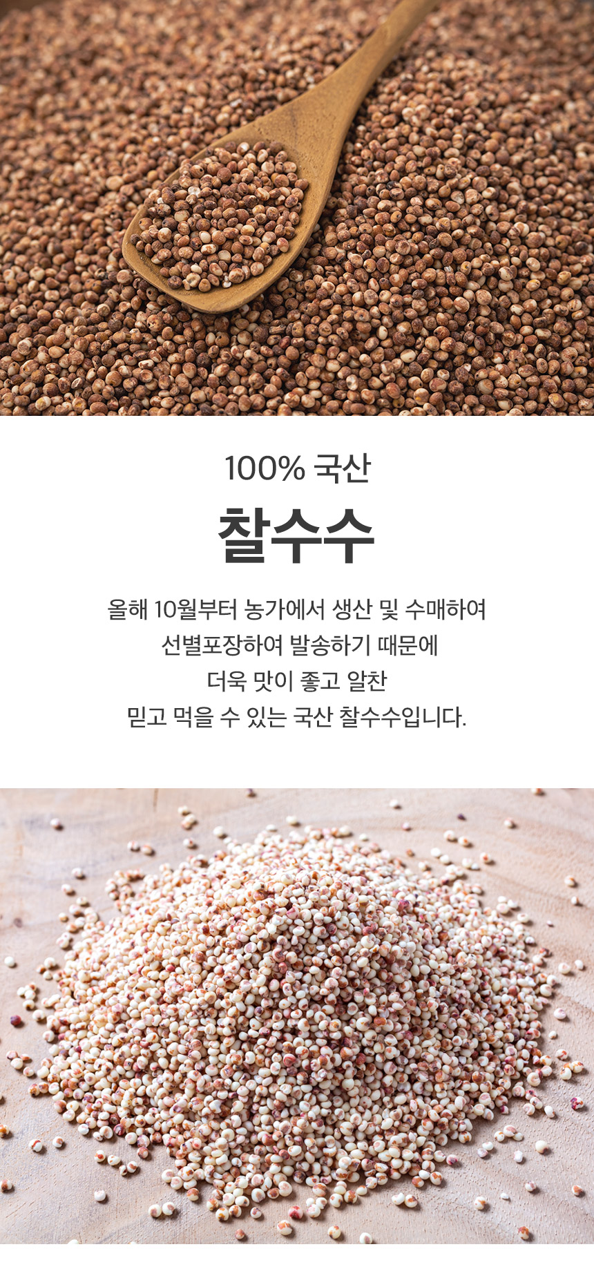 [NS]국내산 고창 5색 잡곡 골라담기/2개이상 구매시 찹쌀1kg추가 - NS홈쇼핑