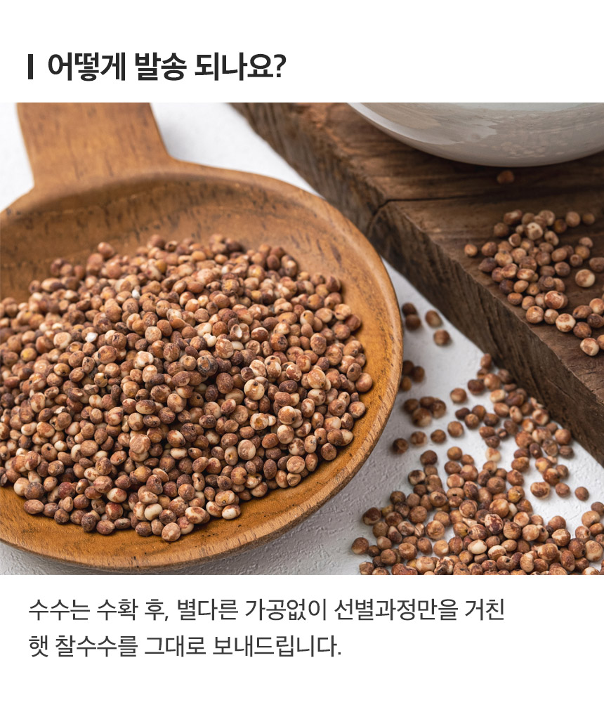 [NS]국내산 고창 5색 잡곡 골라담기/2개이상 구매시 찹쌀1kg추가 - NS홈쇼핑