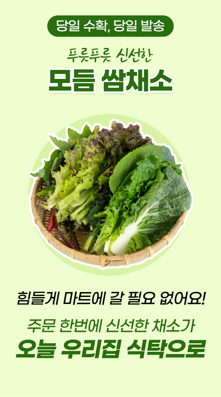 당일수확,당일발송 싱싱한 쌈채소 1kg(9종랜덤발송) - NS홈쇼핑